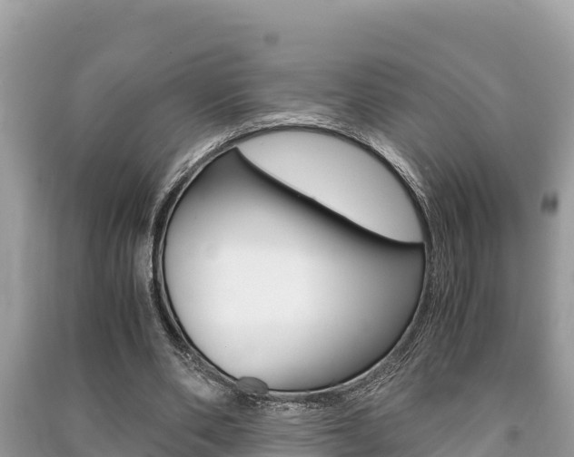 X0000091220486200708091140