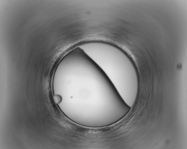 X0000091220487200708091140