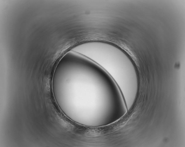 X0000091220489200708091140