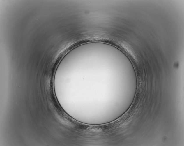 X0000091220491200708091140