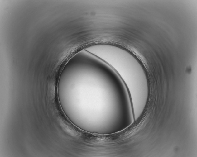 X0000091220493200708091140