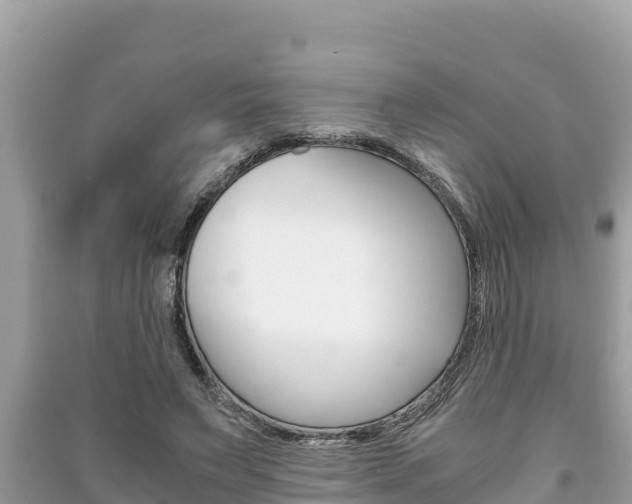 X0000091220495200708091140