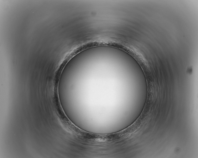 X0000091220496200708091140
