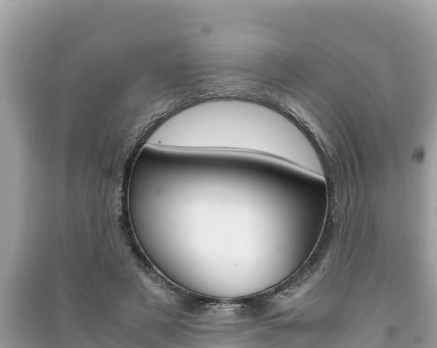 X0000091220497200708091140