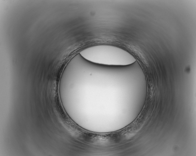 X0000091220498200708091140