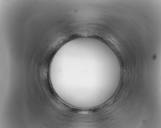 X0000091220499200708091140