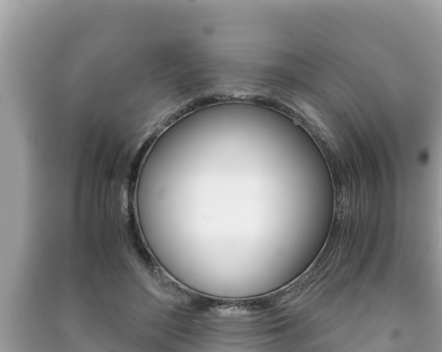 X0000091220500200708091140