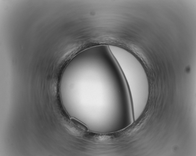 X0000091220501200708091140