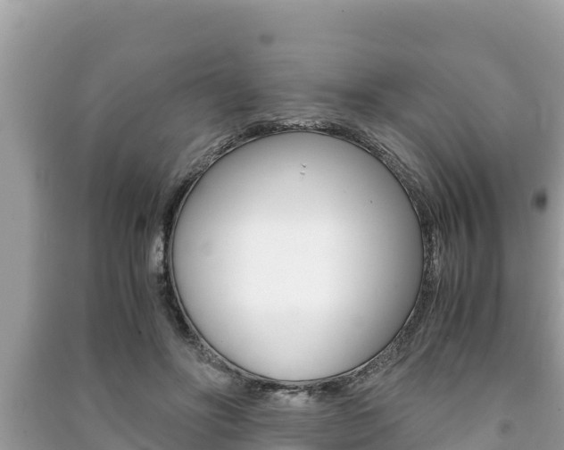 X0000091220502200708091140