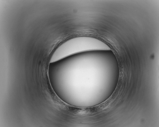 X0000091220504200708091140