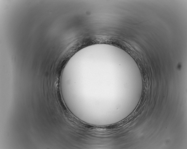 X0000091220507200708091140