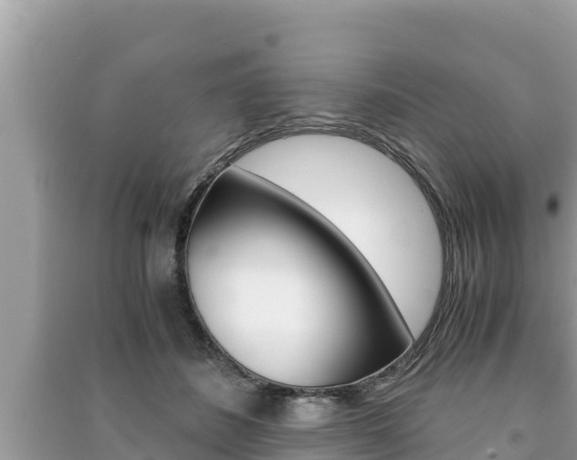 X0000091220508200708091140