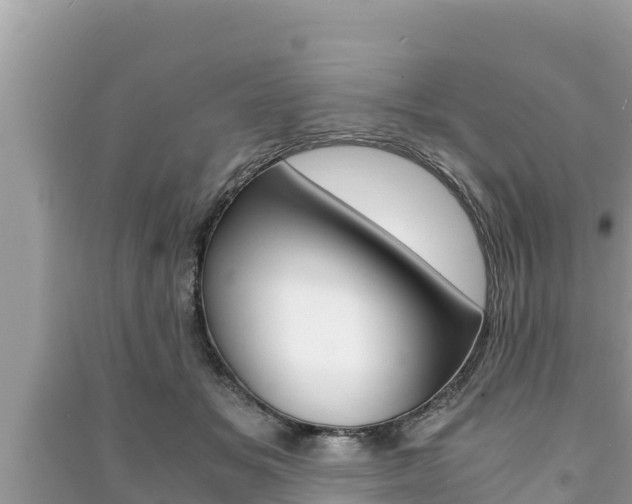X0000091220509200708091140