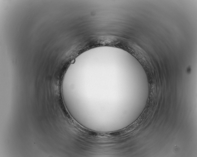 X0000091220510200708091140