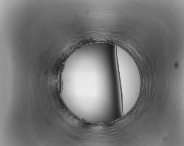 X0000091220513200708091140