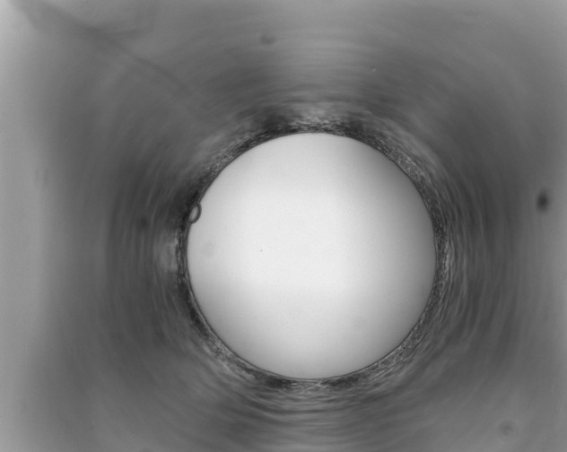 X0000091220514200708091140