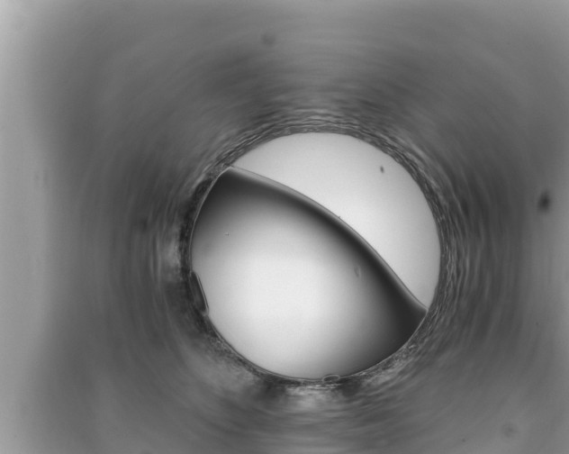 X0000091220516200708091140