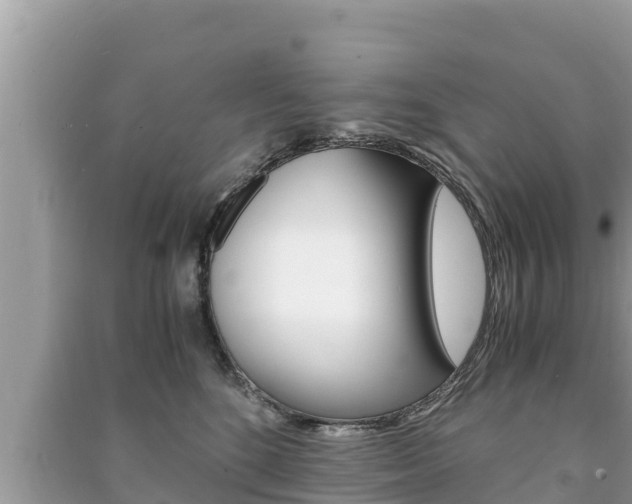 X0000091220520200708091140