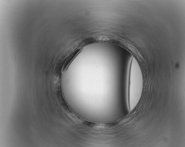 X0000091220521200708091140
