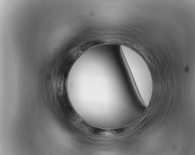 X0000091220525200708091140