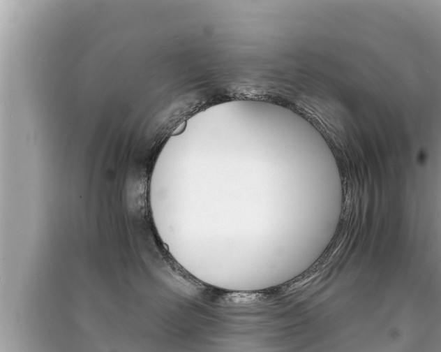 X0000091220526200708091140
