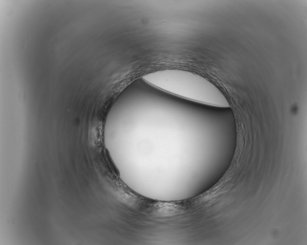 X0000091220528200708091140