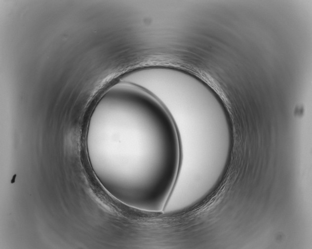 X0000091220530200708091139