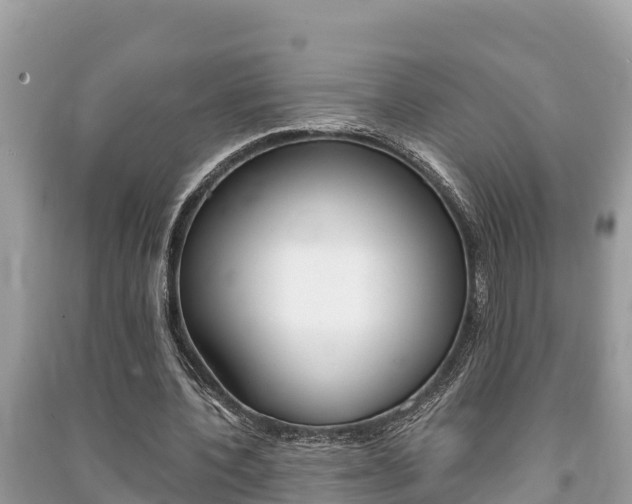 X0000091220532200708091139