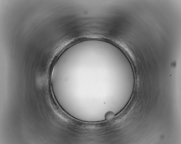 X0000091220533200708091139