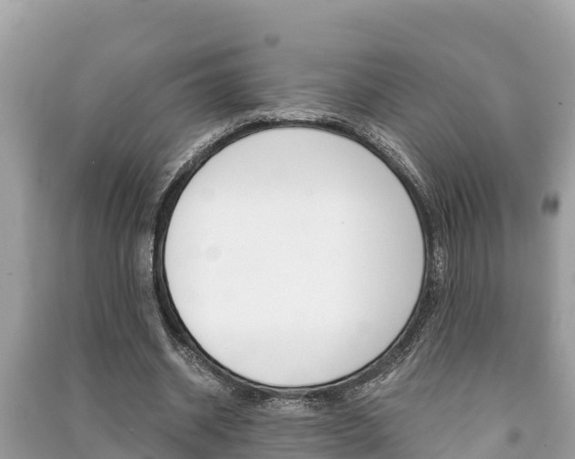 X0000091220534200708091139
