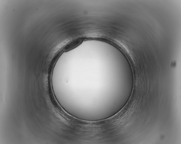 X0000091220535200708091139