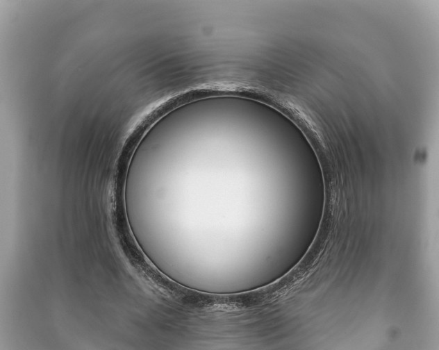 X0000091220536200708091139