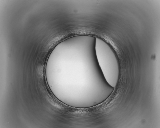 X0000091220537200708091139