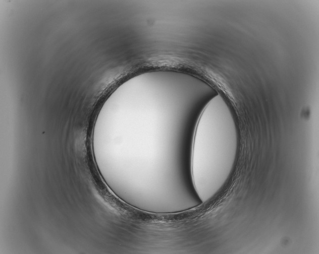 X0000091220538200708091139