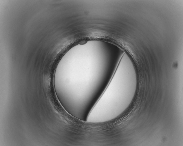 X0000091220539200708091139