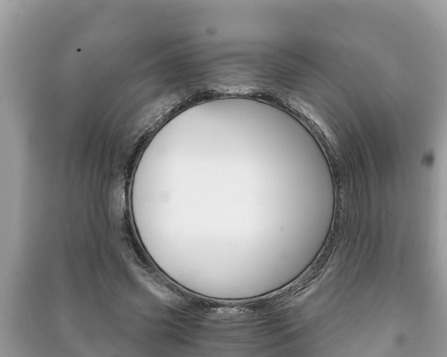 X0000091220541200708091139