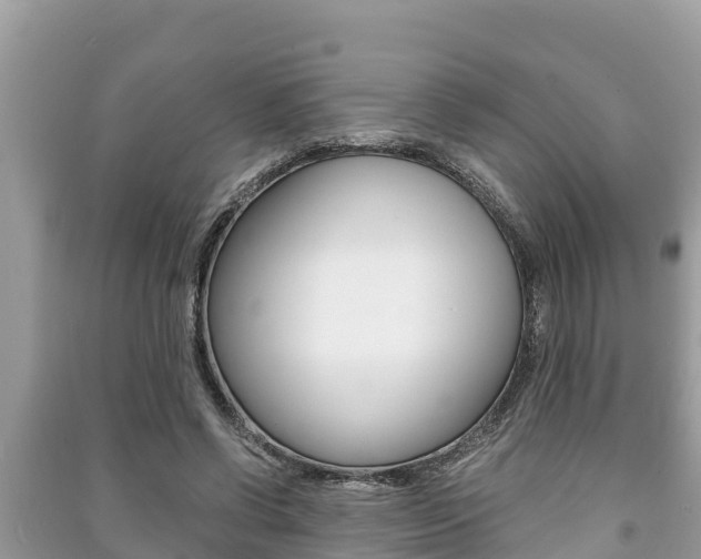 X0000091220542200708091139