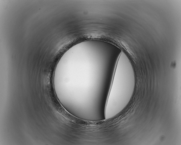 X0000091220543200708091139