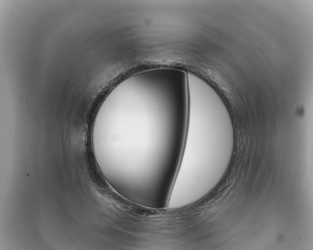 X0000091220544200708091139