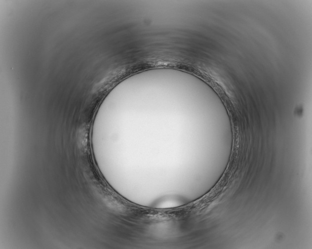 X0000091220545200708091139