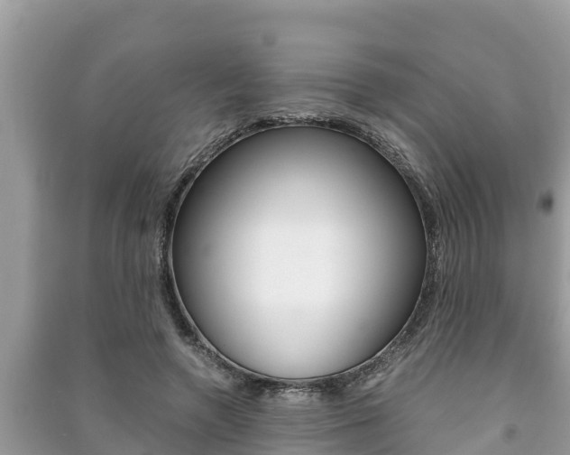 X0000091220546200708091139