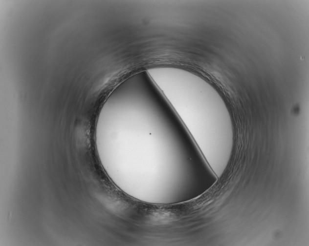 X0000091220547200708091139