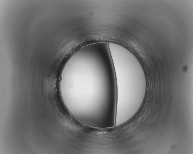 X0000091220548200708091139
