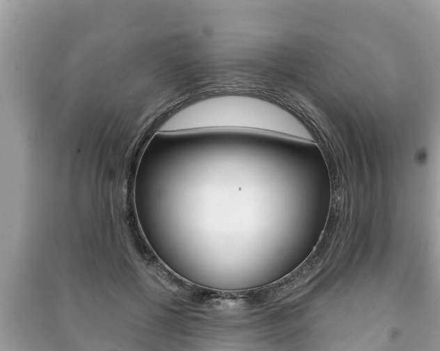 X0000091220552200708091139