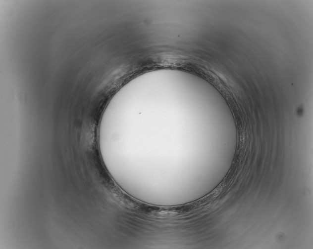 X0000091220554200708091139