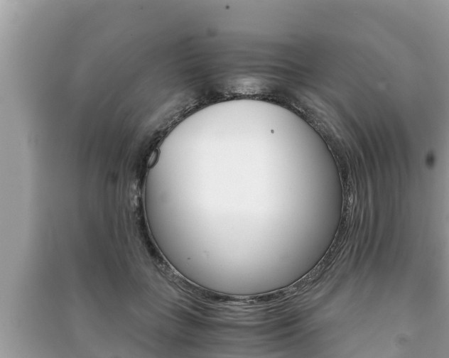 X0000091220555200708091139