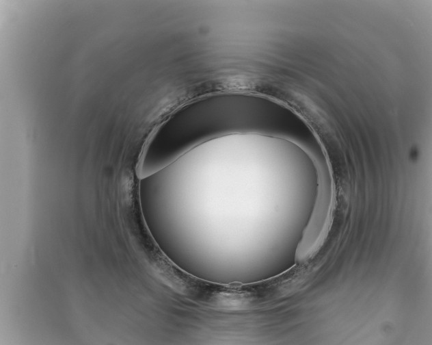 X0000091220556200708091139