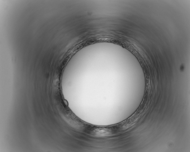 X0000091220557200708091139