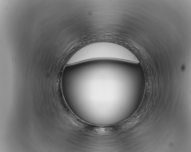 X0000091220558200708091139