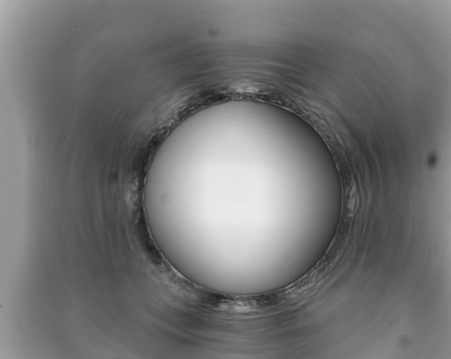 X0000091220559200708091139